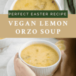 Pinterest graphic of vegan lemon orzo soup recipe.