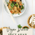 Vegan Spicy Noodle Stir Fry Recipe Pin