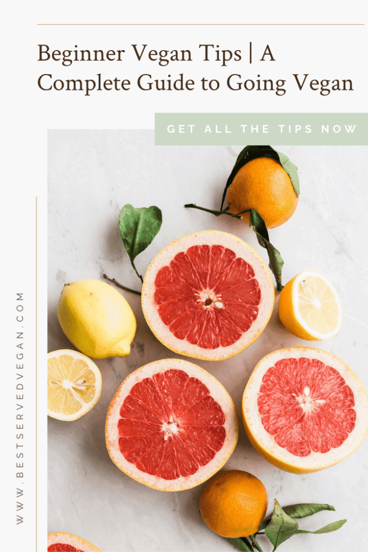 Guide To Vegan Tutorial Beginner Vegan Tips | A Complete Guide to Going Vegan