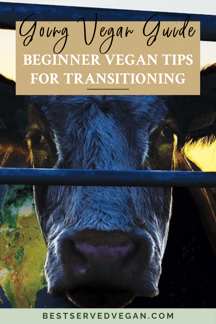 Guide To Vegan Tutorial Beginner Vegan Tips | A Complete Guide to Going Vegan