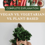 Vegan vs. vegetarian vs. plant-based Pinterest pin.