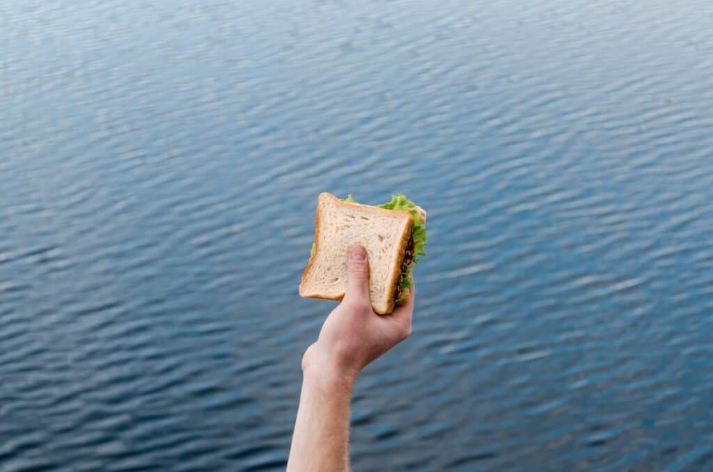 Sandwich being held up in front of a lake.