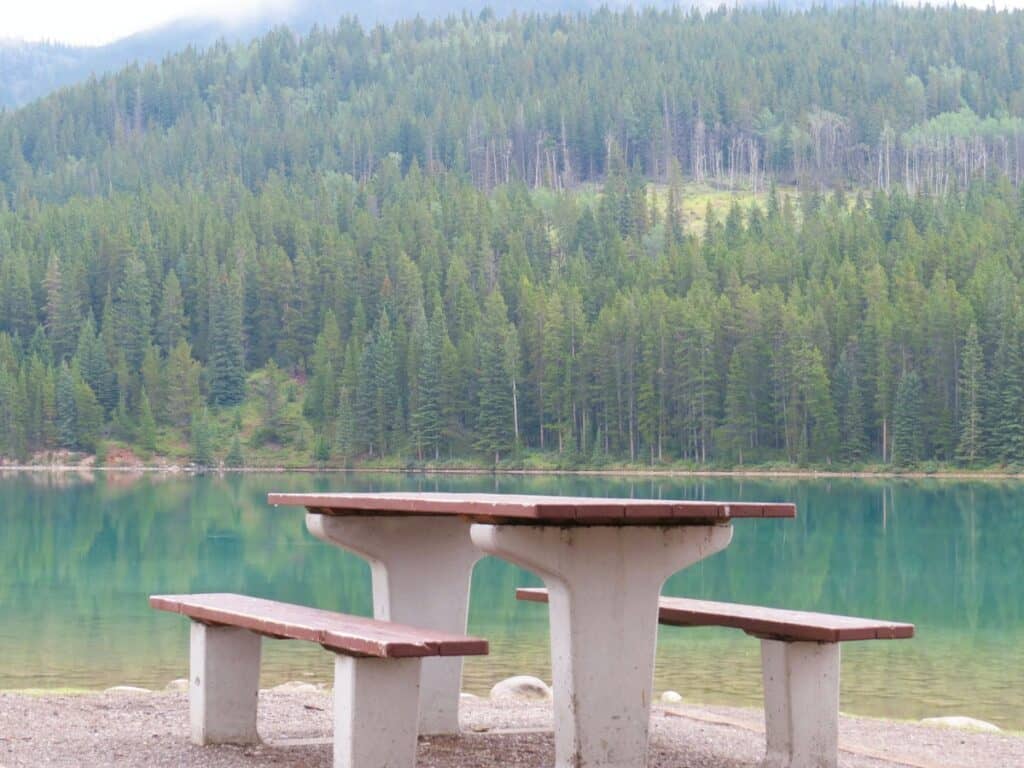 Picnic table in the woods by crystal clear water.