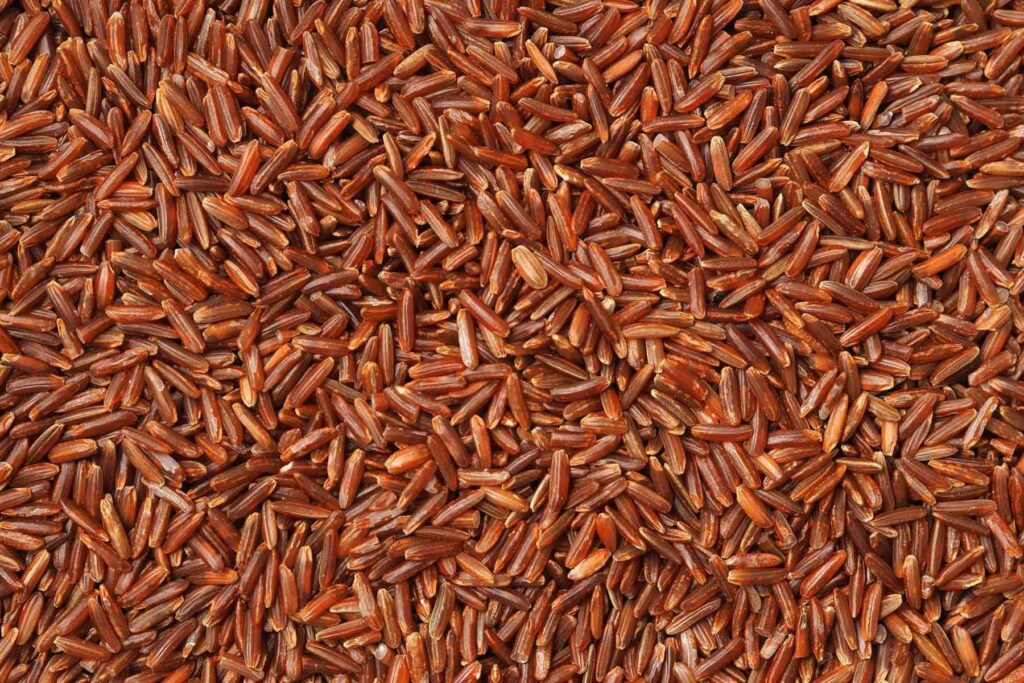 Upclose screen filled with wild rice.
