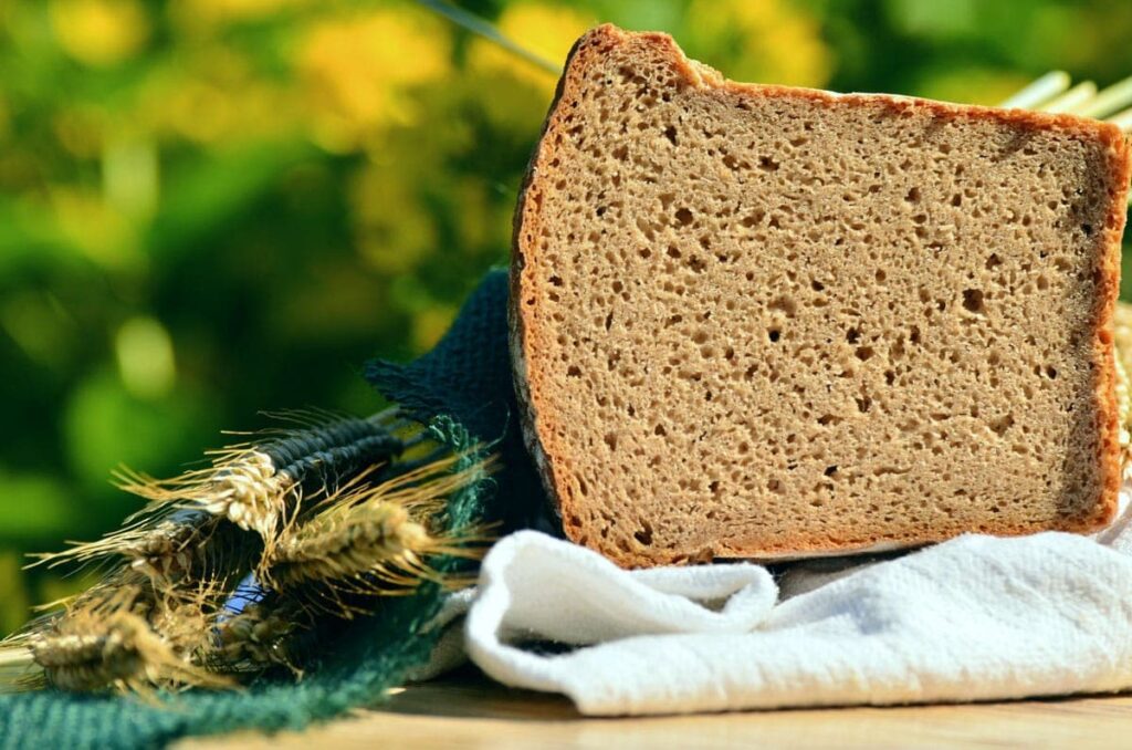 Sprouted bread next to barley plant.