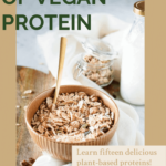 Vegan protein sources Pinterest graphic.