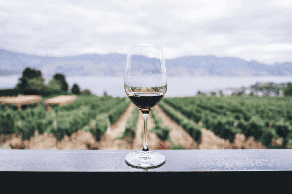A wine glass on a ledge overlooking a vineyard.