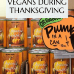 Surviving Thanksgiving as a vegan Pinterest graphic with imagery and text.