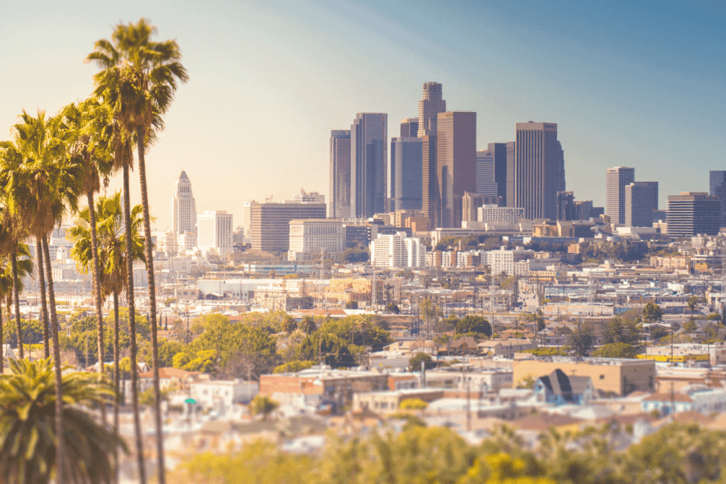 Downtown Los Angeles with palm trees in the foreground.