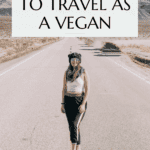 Vegan travel tips Pinterest graphic with imagery and text.