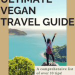 Vegan travel tips Pinterest graphic with imagery and text.