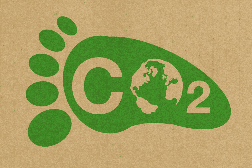 A green footprint with CO2 in the middle of it.