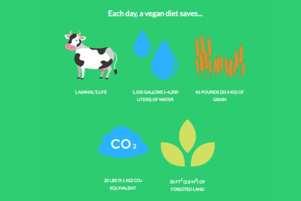 Graphic from Happy Cow showing the environmental benefits of a vegan diet.