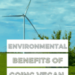 Environmental benefits of veganism Pinterest graphic with imagery and text.
