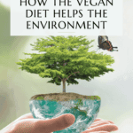 Environmental benefits of veganism Pinterest graphic with imagery and text.