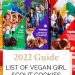 Vegan Girl Scout cookies Pinterest graphic with imagery and text.